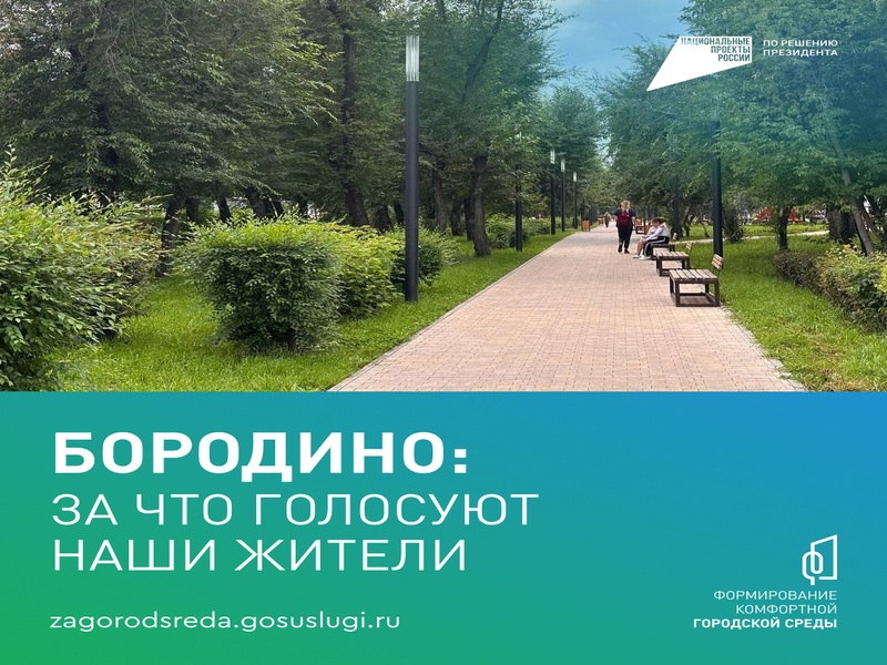Как сделать Бородино лучше?.