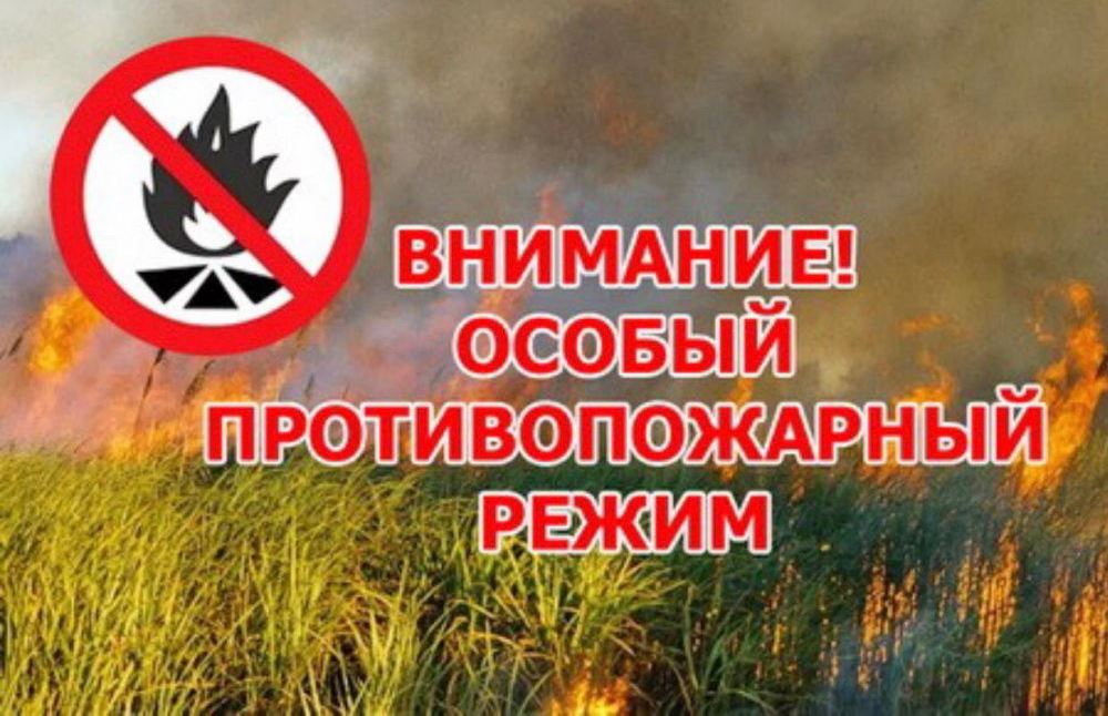 Введение  особого противопожарного режима в городе Бородино.