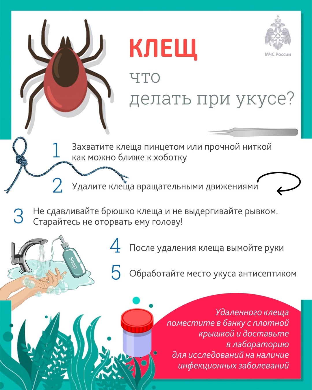 Меры профилактики укусов клещей.