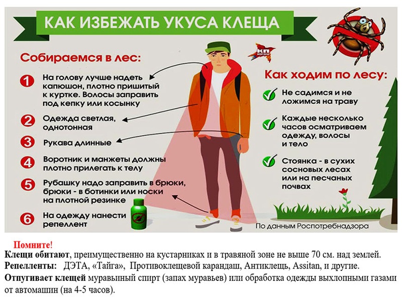 Осторожно, клещи!.