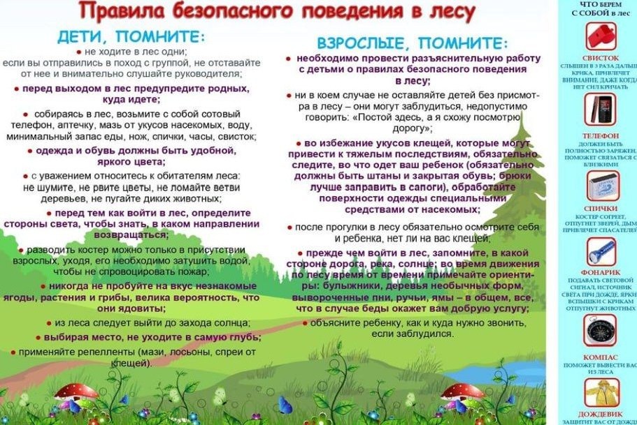 Правила безопасности поведения в лесу.