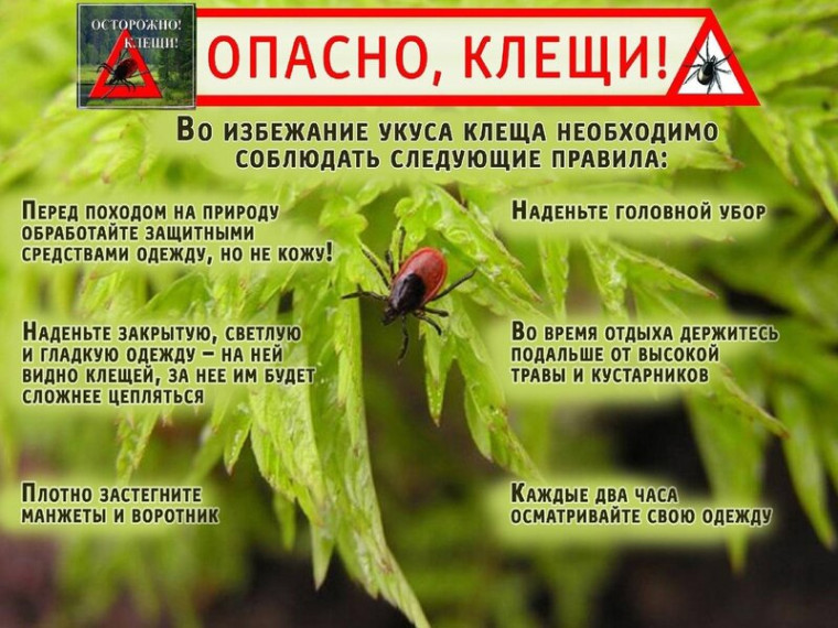 Осторожно, клещи!. Осторожно, клещи!.
